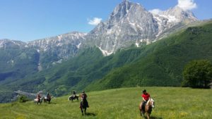 Gran Sasso Maneggio Team Horse