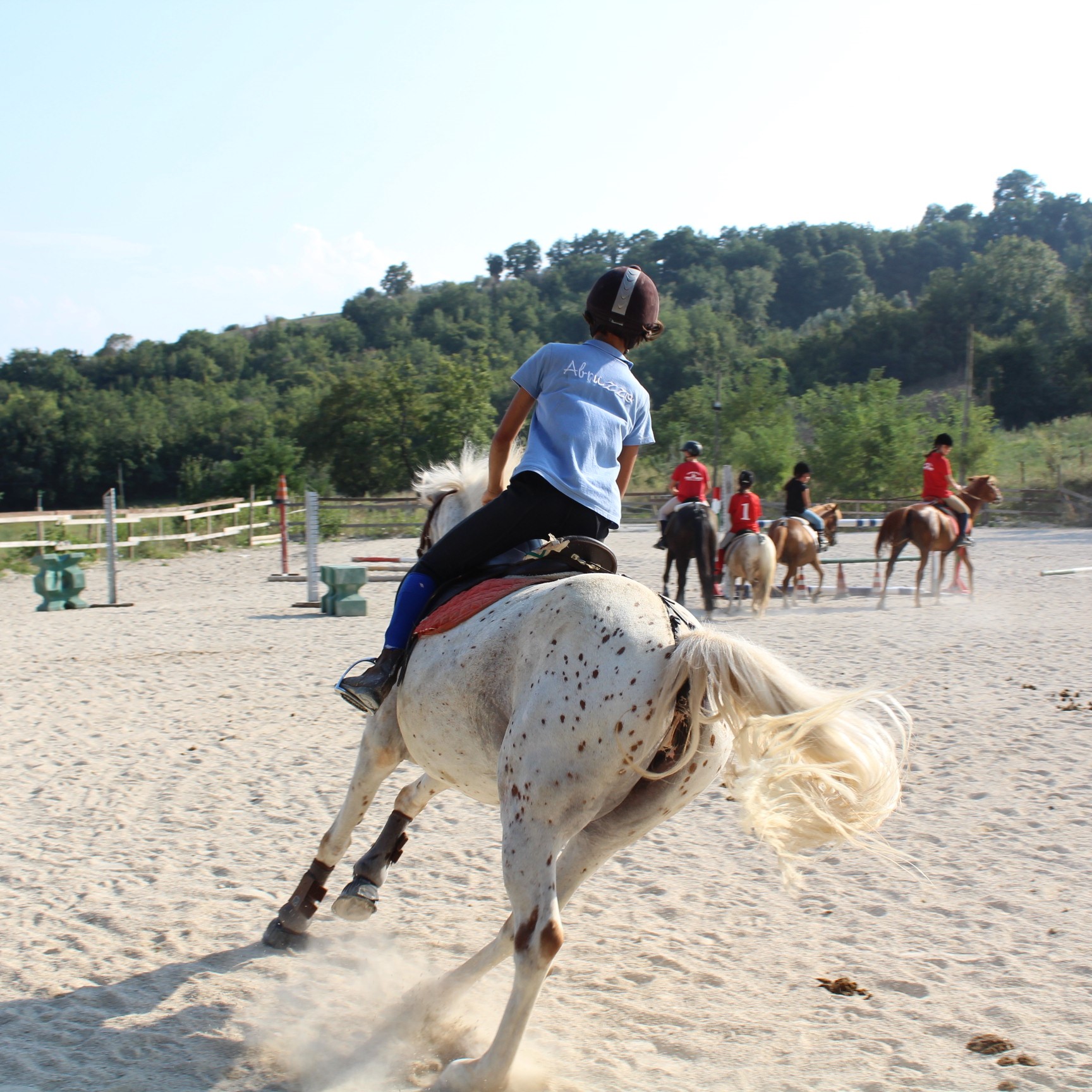 Lezioni Equitazione Maneggio Team Horse