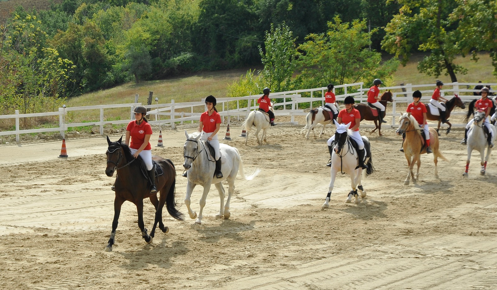 maneggio team horse squadra agonistica