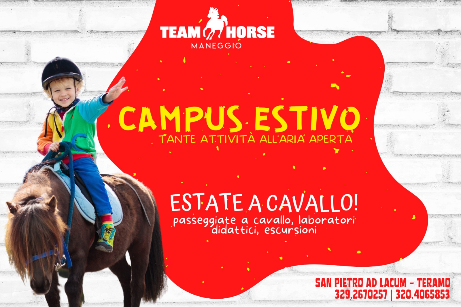 Campus_Estivo_Maneggio_TeamHorse